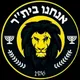 הערוץ הרשמי 🖤💛 we are beitar