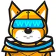Web3_Doge_India