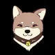 WelshShiba
