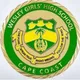 Wesley Girls'💚💛💚💛