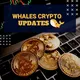 Whale Crypto Updates 🐳