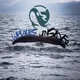 Whales Insider ®