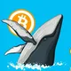 Китовый Движ 🐋