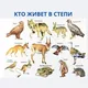 Қазақстанда кім кім