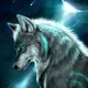 The wolf of Indian stock market