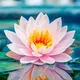 🌷ЖК Каравелла Португалии Аллея парк женский чат
