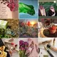 🇸🇦📦Oriflame|اوريفليم