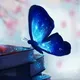 (يازما ۋە رەسىم)📝