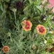 قناه لاول متوسط الجميع المواد 💗🌷