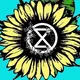 XR Cymru Broadcast