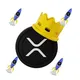 XRP MEME DEGENS