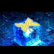 XMAI TOKEN WALLET INDIANS ✌🤑