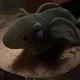 досье на яну пацер