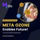 MetaOzone Real Mining