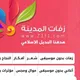 زفات المدينة