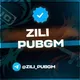 ZILI PUBGM
